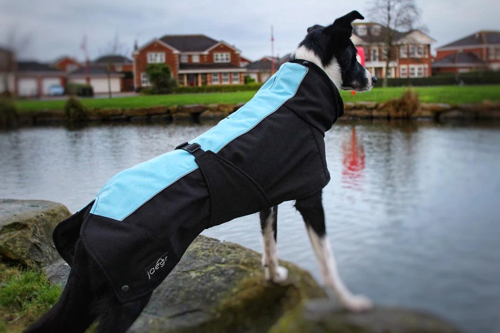 Jaegr Supreme Dog Coat - Highlighter Range - by Jaegr Dogwear