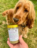 Seaweed Powder Sprinkles for Dogs - Natural Kelp Supplement