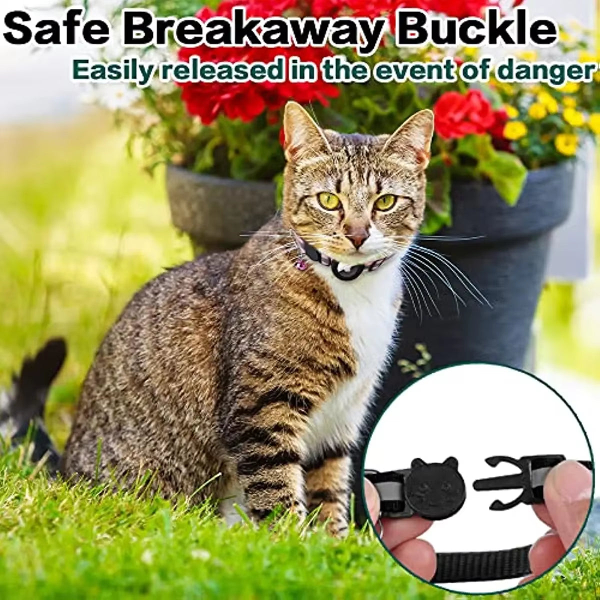 Breakaway Cat Collar-3