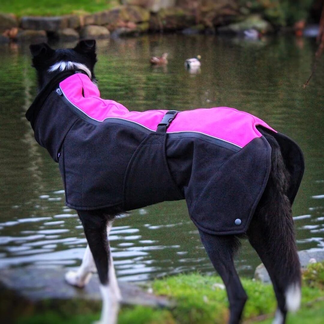 Jaegr Supreme Dog Coat - Highlighter Range - by Jaegr Dogwear
