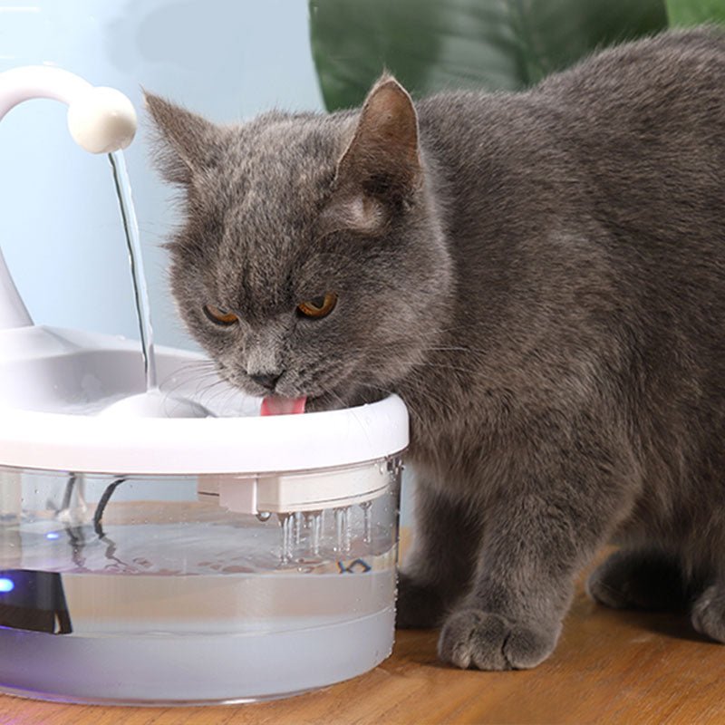 Pet Drinking Fountain