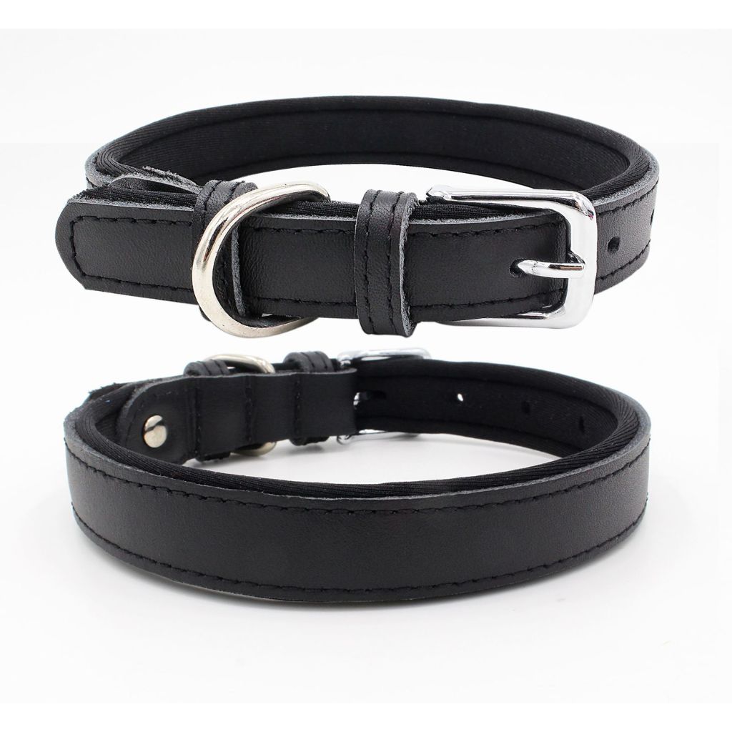 Black Dog Collar by Doggy Doo Little